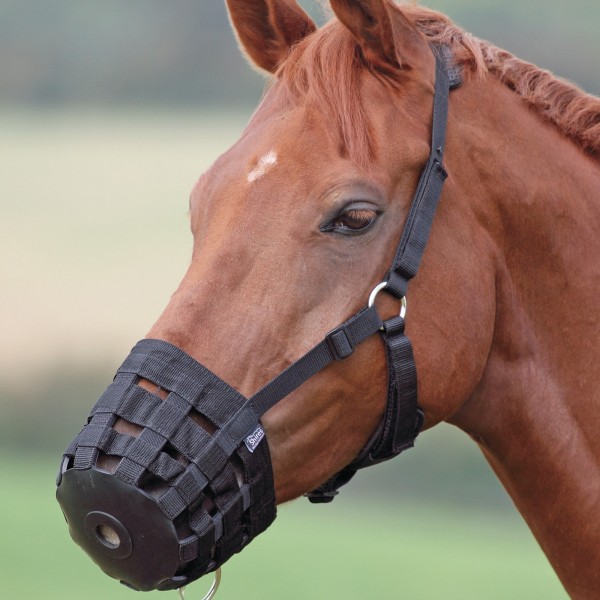 Grazing muzzle shop for horse