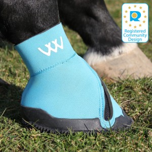 Medical hotsell pet boot