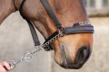 Lemieux Pro Safe Headcollar