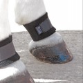 Pastern Wrap (Pair)