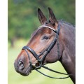 Shires Aviemore Diamante Flash Bridle